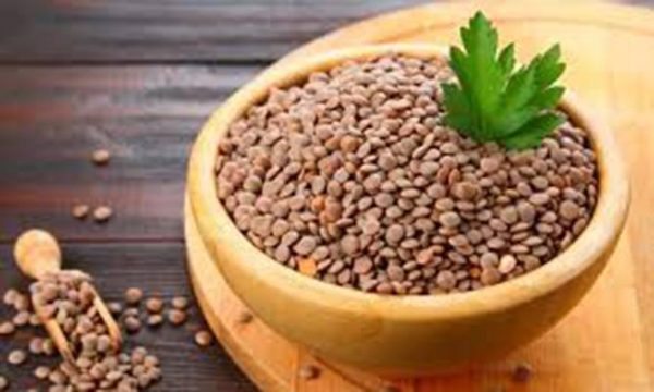 عدس کیلویی