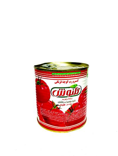 رب قوطی 1 کیلویی گلنوش