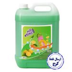 مایع ظرفشویی 10 لیتری پونو با رایحه لیمو برای مصارف صنعتی ( بیمارستان ها و رستوران ها و