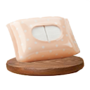 دستمال مرطوب