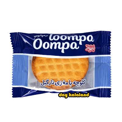 کلوچه 50 گرمی نادری با مغز نارگیل